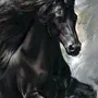 Фото лошади для срисовки