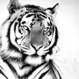 Черно белые рисунки животных