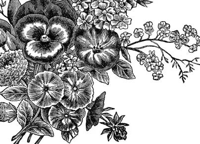 Цветы на черном фоне рисунок