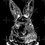 Черный кролик рисунок