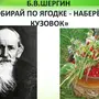 Категория Ягоды