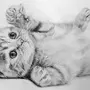 Рисунок Кошки Карандашом