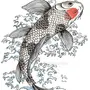 Японские Рыбы Рисунок