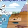 Рисунок границы биосферы 6 класс география