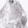 Как нарисовать грушу