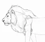 Как Нарисовать Льва