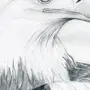 Как Нарисовать Орла