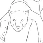Как нарисовать пантеру