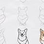 Корги собака рисунок