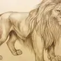 Картинки Льва Для Срисовки