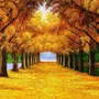 Осенний парк рисунок
