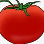 Нарисовать помидор