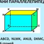 Параллелепипед рисунок 5 класс