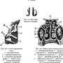 Строение носа рисунок