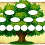 Рисунок генеалогическое древо семьи для детей шаблоны