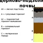 Почвенный профиль рисунок