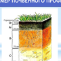 Почвенный профиль рисунок