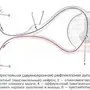 Рефлекторная дуга рисунок