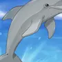 Дельфин Рисунок