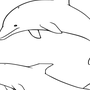 Дельфин рисунок карандашом
