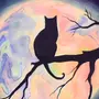Рисунок кот на луне