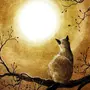 Рисунок Кот На Луне