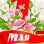 Рисунок мир труд май