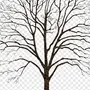 Зимнее дерево рисунок