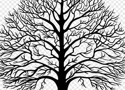 Дерево черно белое рисунок