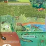 Обитатели Природных Экосистем Детские Рисунки