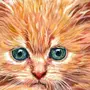 Рыжий кот рисунок
