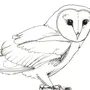 Белая сова рисунок