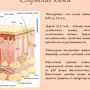 Строение Кожи Рисунок