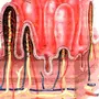 Кишечная ворсинка рисунок с обозначениями