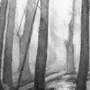 Темный Лес Рисунок