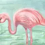 Рисунок фламинго для срисовки