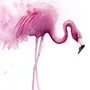 Рисунок фламинго для срисовки