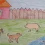 Домашние животные рисунки