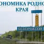 Рисунок экономика родного края