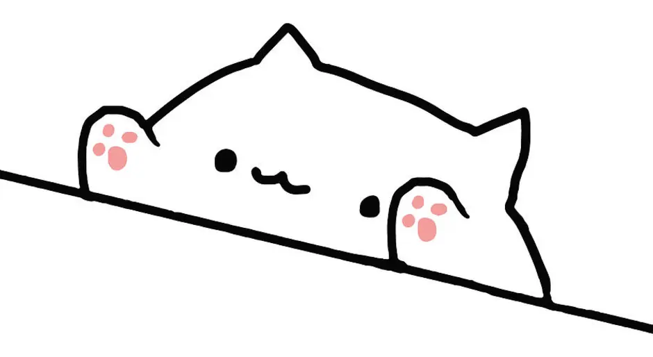 Бонго кэт