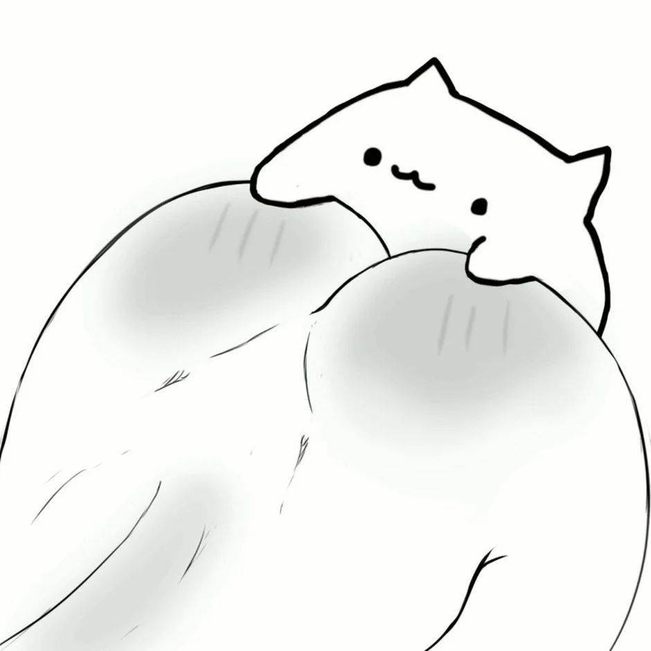 Бонго кот