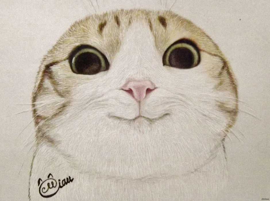 Няшные котейки