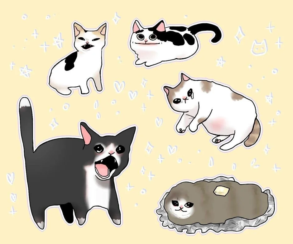 Кот мем арт