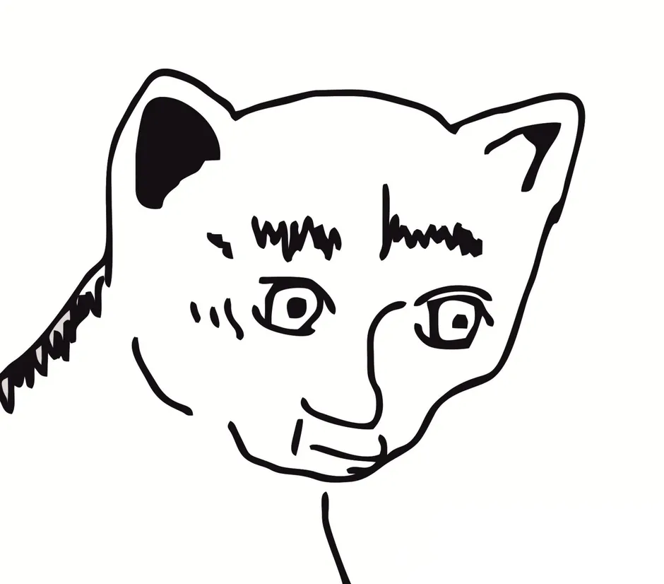 Кот повар белиссимо