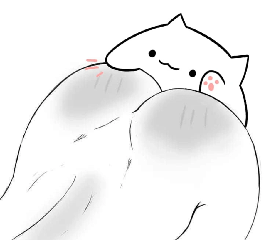 Бонго кот