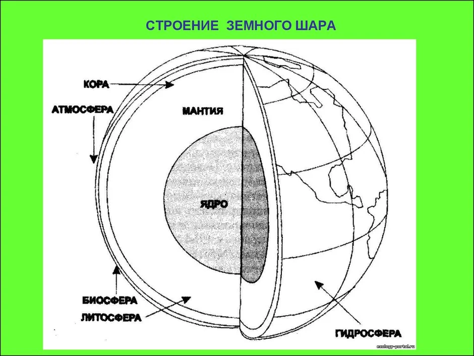 Биосфера земли